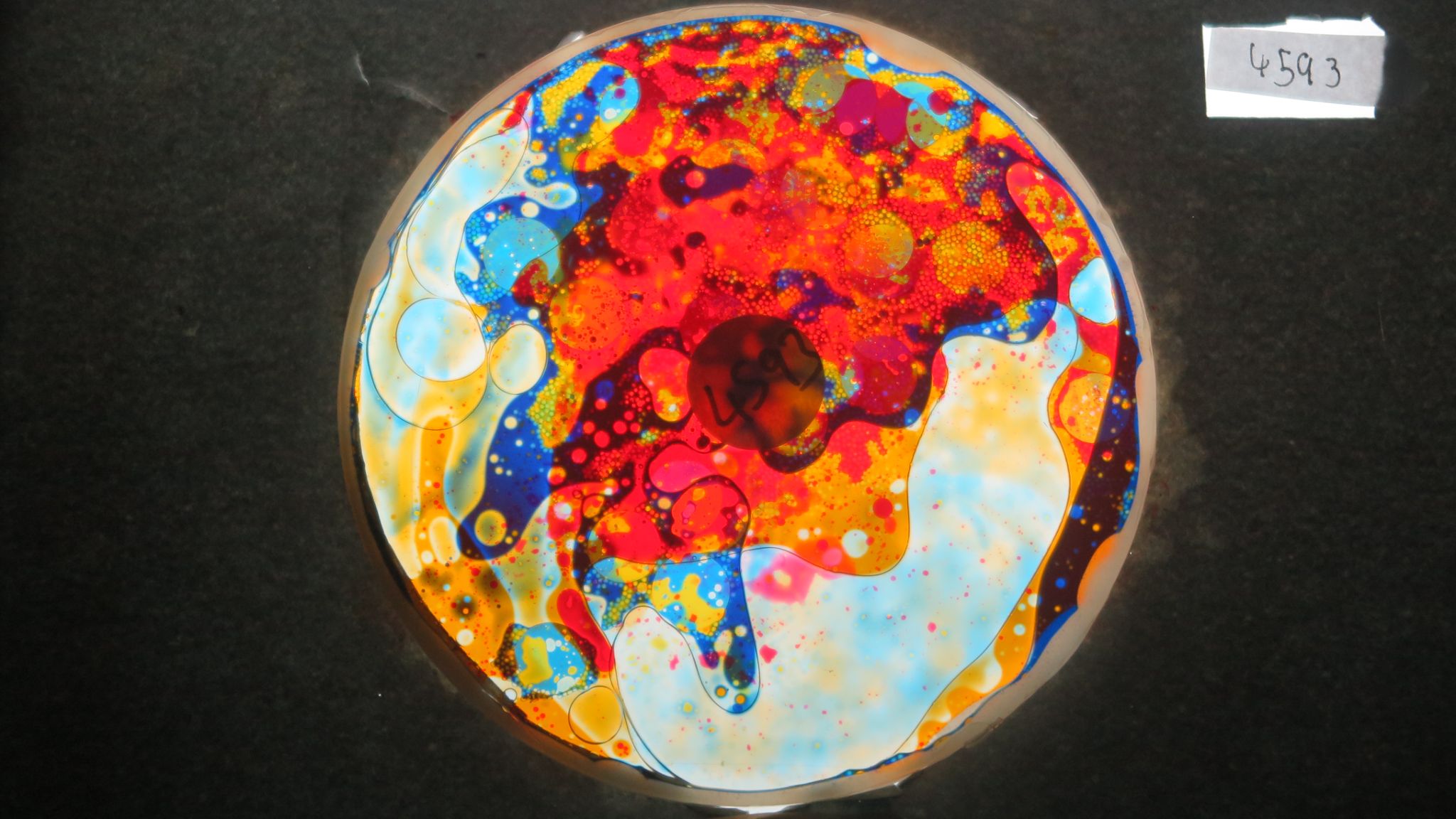 BV4593 bubble vision oil wheel